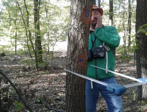 Nepasečná akademie – příprava