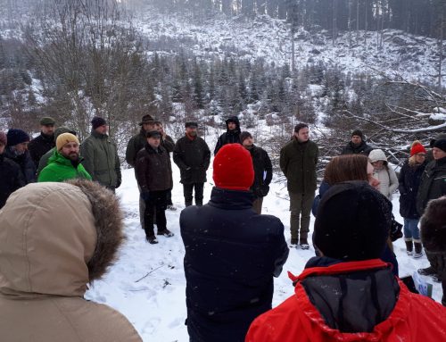 Mezinárodní ideová konference “Budoucnost evropských lesů”