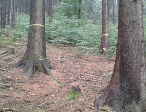 DONH Kryštofovo Údolí