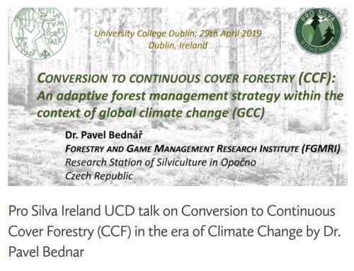 Nepasečné lesnictví