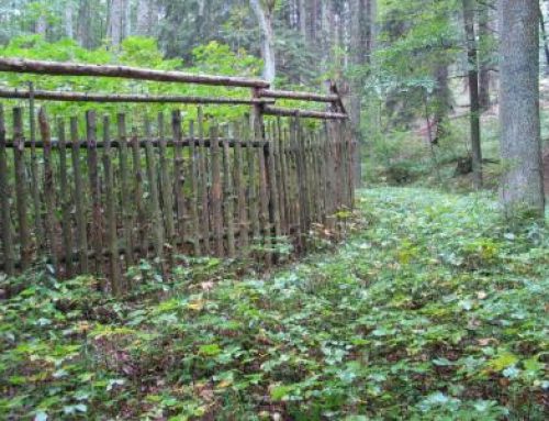 Changes in legislation