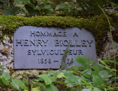 Pro Silva Bohemica in Switzerland