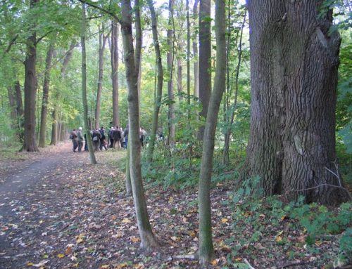 Dan Frantík v Ekolistu – rozhovor