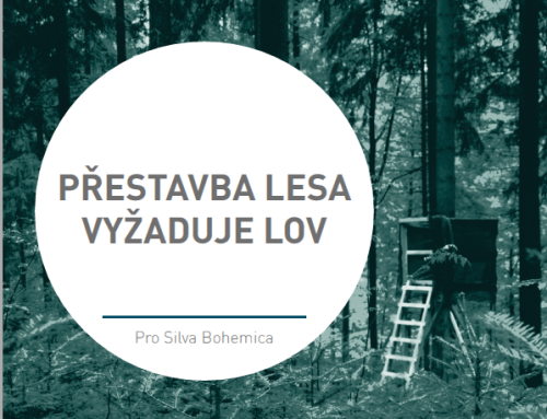 Přestavba lesa vyžaduje lov