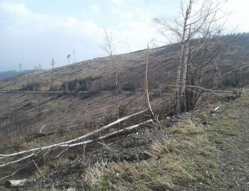 Společná tisková konference k novele zákona o myslivosti