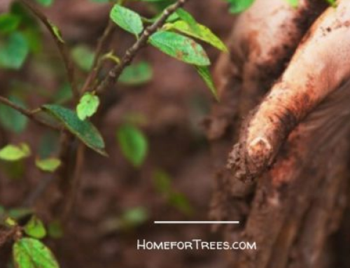 Dobrovolníci hledají příležitosti…