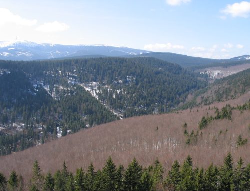 Regionální exkurze – Bílý Potok v Jeseníkách, 20.10.2022