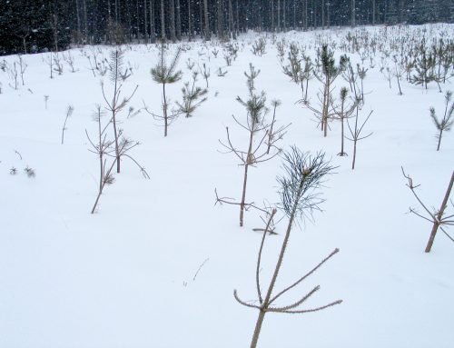 Dopis ministru zemědělství k přípravě novely zákona o myslivosti