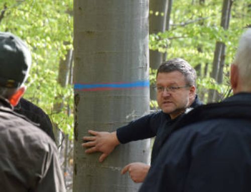 Ocenění pro Tomáše Vršku