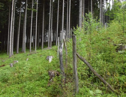 Členská schůze PSB, odborný seminář a exkurze