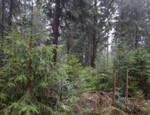 Adapterra Awards podruhé