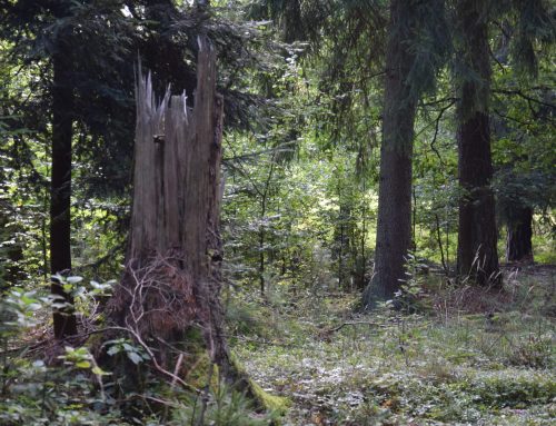 Novinky 21. 12. 2023