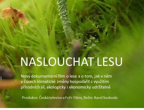 Naslouchat lesu – nový dokumentární film Karla a Lucky Svobodových