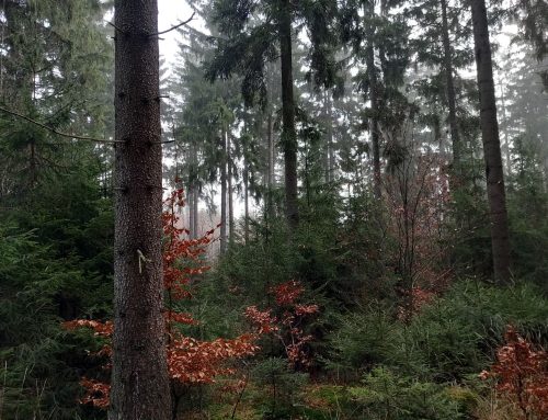Volební výroční členská schůze – Rožmitál